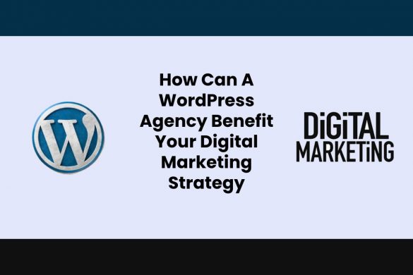 How Can A WordPress Agency Benefit Your Digital Marketing Strategy