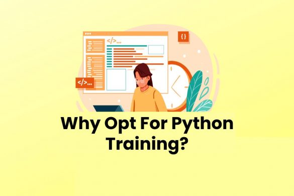 Why Opt For Python Training?