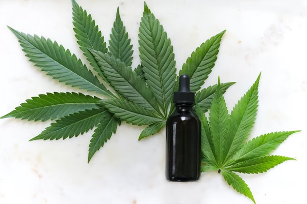 CBD for the Fitness center: Recovery After a Workout