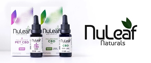 What to Use and When to Use CBD in the Gym
