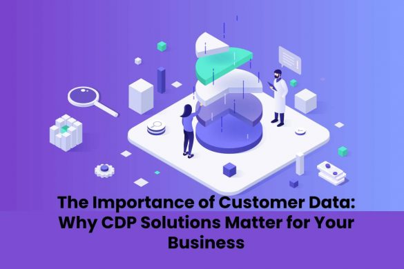 The Importance of Customer Data Why CDP Solutions Matter for Your Business