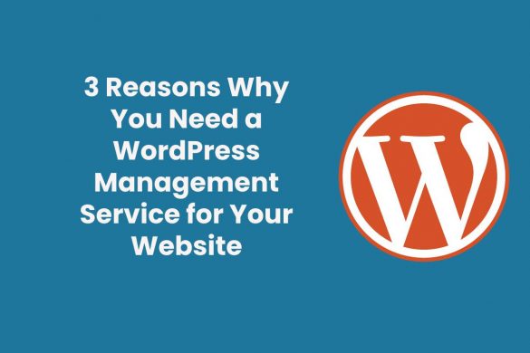 3 Reasons Why You Need a WordPress Management Service for Your Website