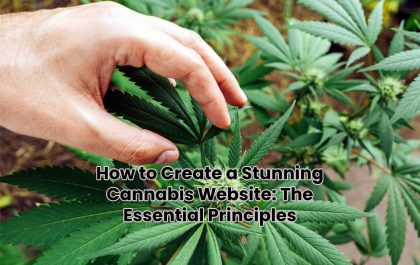 How to Create a Stunning Cannabis Website: The Essential Principles