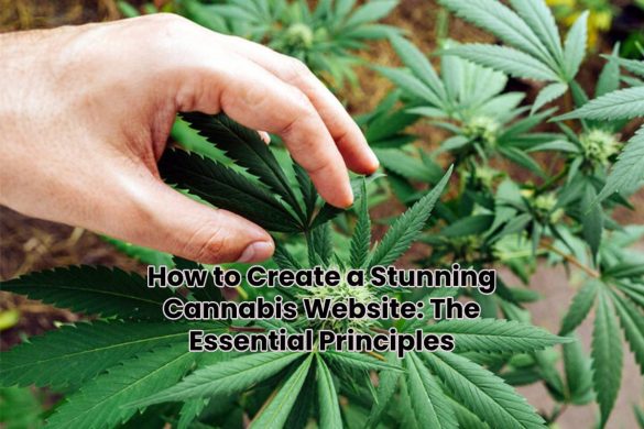 How to Create a Stunning Cannabis Website: The Essential Principles