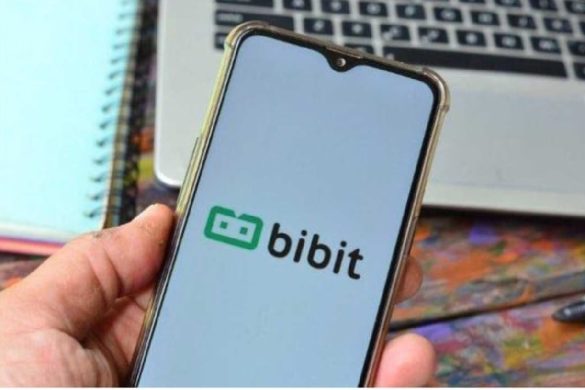 Bibit 65m Capital Indiashutechcrunch