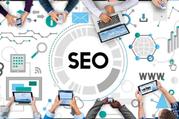 Professional SEO Services